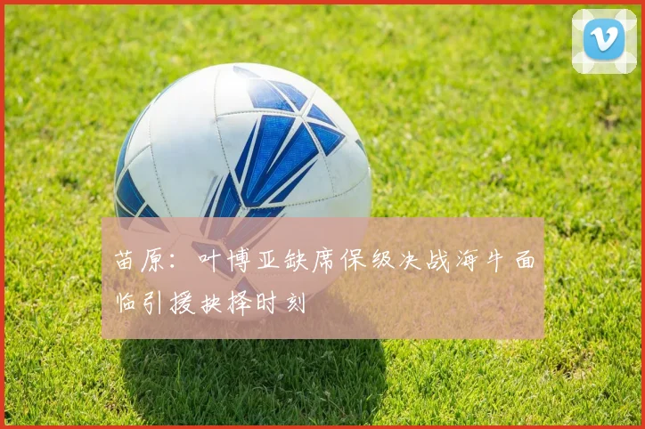 苗原：叶博亚缺席保级决战海牛面临引援抉择时刻
