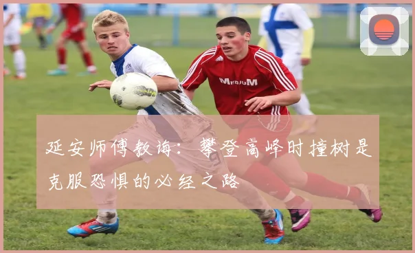 延安师傅教诲：攀登高峰时撞树是克服恐惧的必经之路