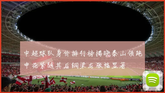 中超球队身价排行榜揭晓泰山领跑申花紧随其后铜梁龙涨幅显著
